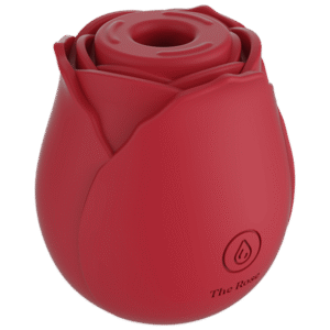 Wearable Couples Vibrator